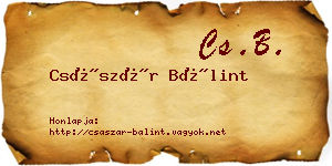 Császár Bálint névjegykártya